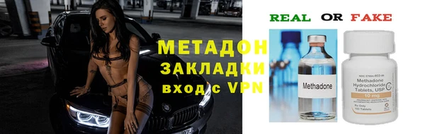 прущие грибы Зеленодольск