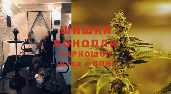 PSILOCYBIN Лиски