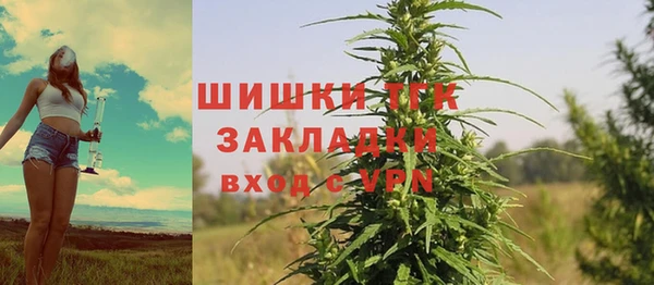 прущие грибы Зеленодольск