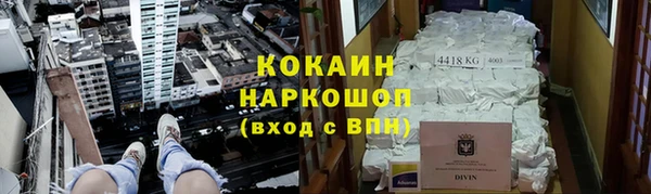 прущие грибы Зеленодольск