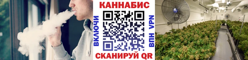 где купить наркоту  Рошаль  Бошки марихуана индика 